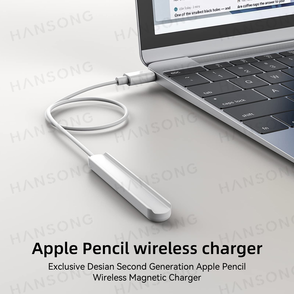 Caricabatterie Wireless per Ap - Apple Accessories Laptop recensione e prezzo